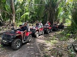 Blue Hole Excursions From Ambergris Caye Price