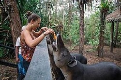 Blue Hole Excursions From Ambergris Caye Price