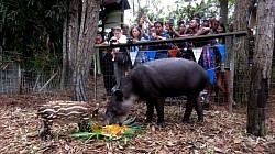 Blue Hole Excursions From Ambergris Caye Price