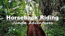 Ambergris Caye Hotels